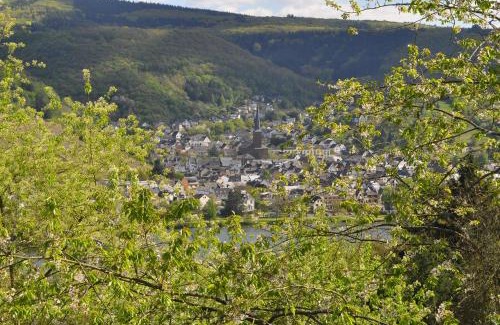 Treis-Karden Apartment | Ferienwohnung Weins