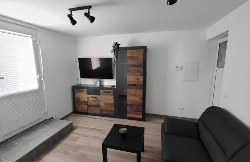 Ditzumerverlaat Apartment | Ferienwohnung Wildgans 2 Dollart Ostfriesland