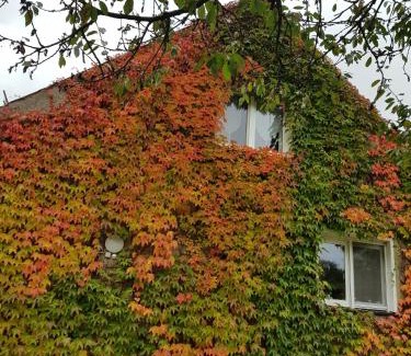 Neuruppin Apartment | Ferienwohnung Wolf