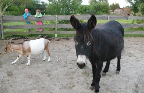 Neuendorf Apartment | Ferienwohnung Zeesenboot mit möblierter Terrasse