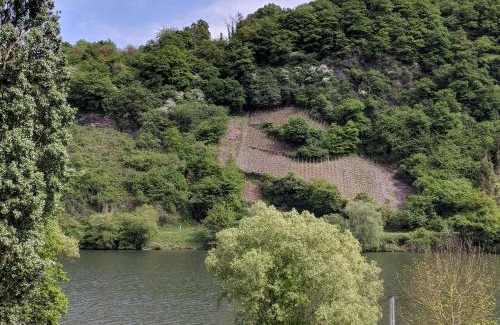 Krov Apartment | Ferienwohnung "Zum Klosterruinenblick"