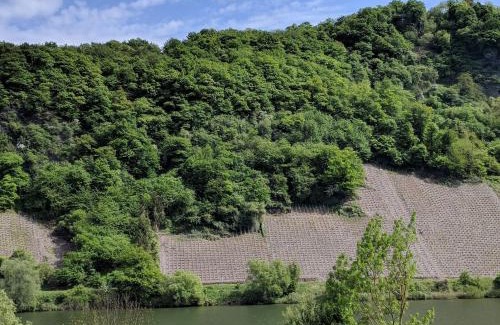 Krov Apartment | Ferienwohnung "Zum Klosterruinenblick"