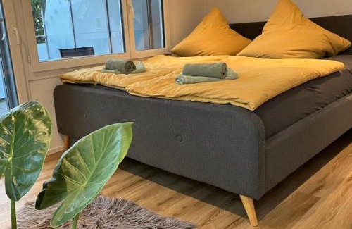 Buetschwil-Ganterschwil Apartment | Ferienwohnung zum Säntis