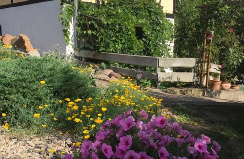Friesdorf Apartment | Ferienwohnung "Zum Schlossblick"