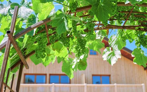 Tittmoning Apartment | Ferienwohnung zwischen Burghausen und Salzburg