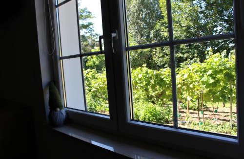 Muncheberg Apartment | Ferienwohnungen am Büffelhof Müncheberg - am See