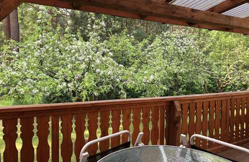 Briesensee Apartment | Ferienwohnungen am Badesee