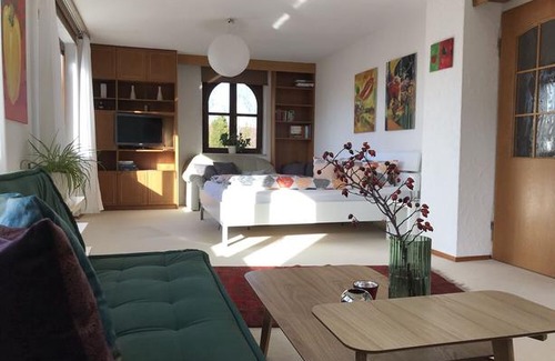 Mainberg Apartment | Ferienwohnungen Am Forsthaus