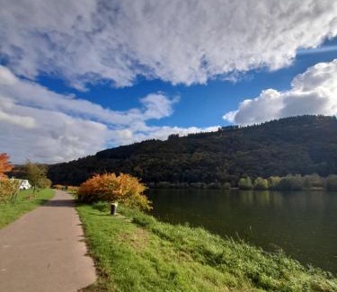 Mehring Apartment | Ferienwohnungen am Moselbeach