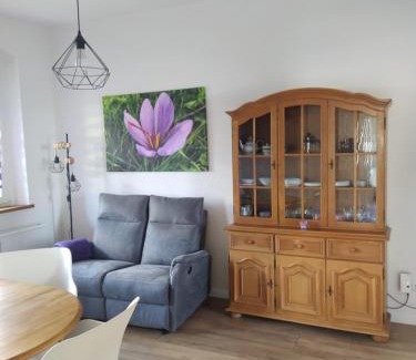 Altenburg Apartment | Ferienwohnungen am Safrangarten
