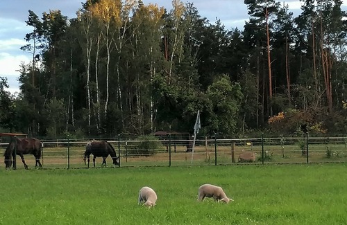 Frauendorf Apartment | Ferienwohnungen auf dem Bauernhof in Alleinlage