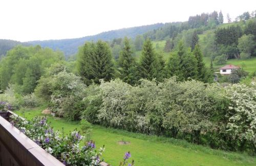 Steinach Apartment | Ferienwohnungen Breternitz