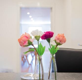 Windischeschenbach Apartment | Ferienwohnungen Windischeschenbach by HausGruenerBaum