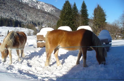 Aschau im Chiemgau Apartment | Ferienwohnungen Hamberger