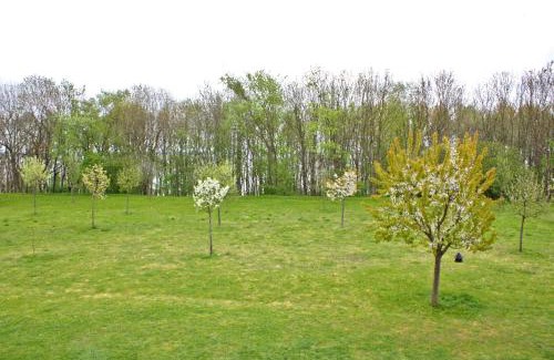 Muritz Apartment | Ferienwohnungen Klink SEE 5930