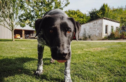 Idenheim Apartment | Ferienwohnungen Kohnshof