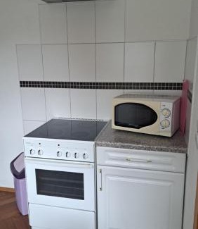 Hohenluftkurort Grunbach Apartment | Ferienwohnungen Reiterhof Lienemann