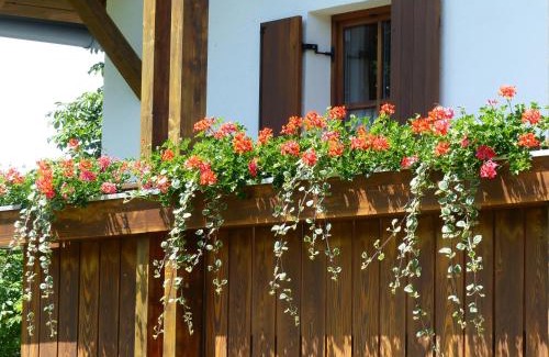 Tiefenbach Apartment | Ferienwohnungen Reitinger