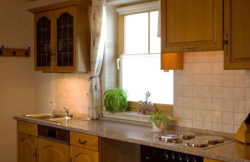 Nittenau Apartment | Ferienwohnungen Seebauer