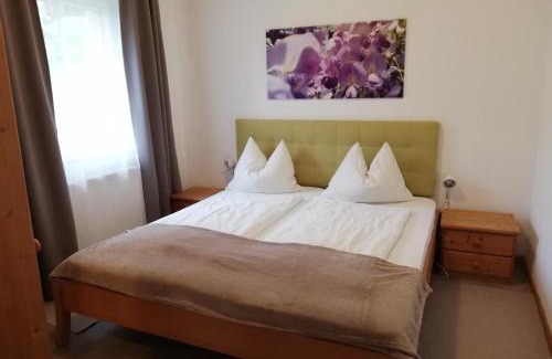 Tschoran Apartment | Ferienwohnungen Vidoni