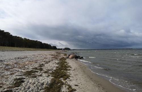 Lodmannshagen Apartment | Ferienwohnungen "Weitblick" und "Schwalbennest"
