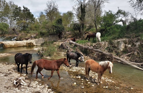 Lurs Other | Ferme Equestre Les Coccinelles, le Gîte Rural