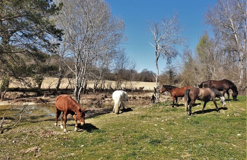 Lurs Other | Ferme Equestre Les Coccinelles, le Gîte Rural