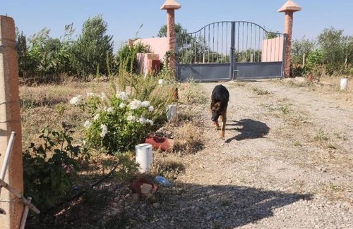 Galdamane House | Ferme Jnan Al Yassmine