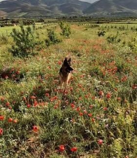 Galdamane House | Ferme Jnan Al Yassmine