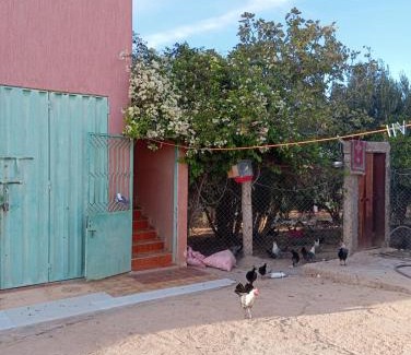 Toualet House | ferme jnane erroumane-settat