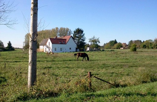 Ville-Pommeroeul House | Ferme Lenfant