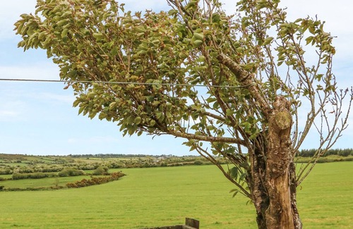 Ballydaniel House | FERN COTTAGE, pet friendly, with a garden in Youghal, County Cork