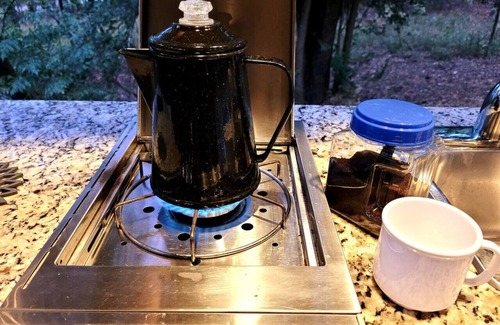 Mid America Apartment | Fern Dell: A Woodland Glamp - Dog Friendly!