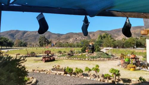 Valle de Guadalupe Cabin | Fernabella's Lodge