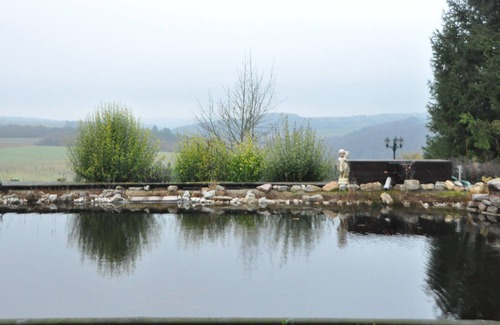 Sonnschied Apartment | Fernblick vacation apartment with indoor pool, swimming pond & direct access to the garden