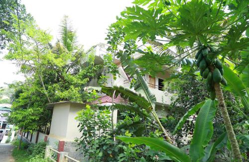 Thekkady House | Ferndale Homestay