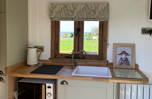 Saltburn-by-the-Sea Cabin | Fernlea Luxury Shepherds Hut - Sleeps 2 & Hot Tub