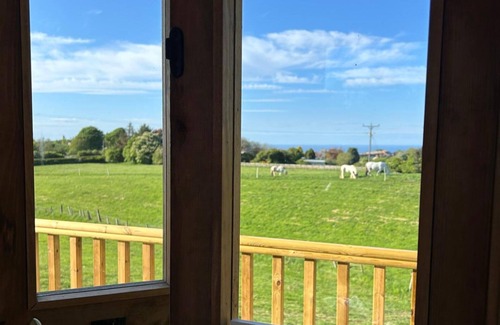 Saltburn-by-the-Sea Cabin | Fernlea Luxury Shepherds Hut - Sleeps 2 & Hot Tub