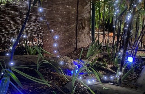 Stanwell Park Apartment | Fernleigh Cottage Homestay