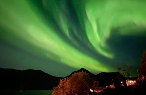 Torsken House | FERRYtale, cozy, spacious house on Senja