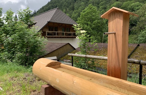 Todtnau Apartment | Fewo 2 - Lugo