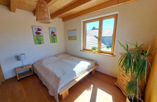 Unterallgau Apartment | FeWo "Alpakaleben" im ökologischen Holzhaus mit traumhafter Aussicht und Alpakas