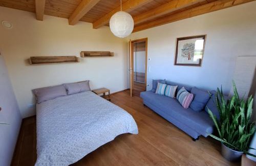 Unterallgau Apartment | FeWo "Alpakaleben" im ökologischen Holzhaus mit traumhafter Aussicht und Alpakas