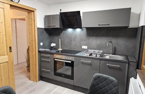 Reppner Apartment | Fewo am See, Ferienhaus, 7 Schlafzimmer, Waschmaschine, Businesswohnung