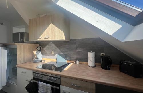 Netzschkau Apartment | FeWo an der Göltzschtalbrücke