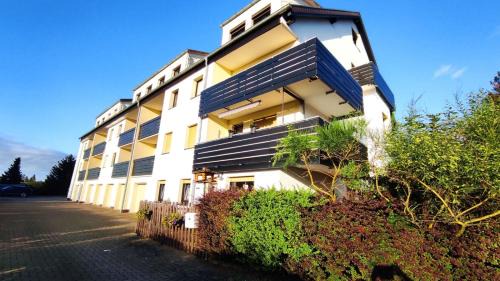 Hohegeiß Apartment | FeWo Harzer Wiesenblick, bis 2 Hunde willkommen, W-Lan, Sauna, DTV 4 Sterne, 3 Pfoten