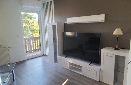Wiederitzsch Apartment | Fewo in Wiederitzsch nähe Leipziger Messe