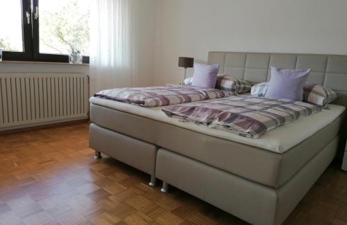 Kreuzwertheim Apartment | FeWo mit Burgblick