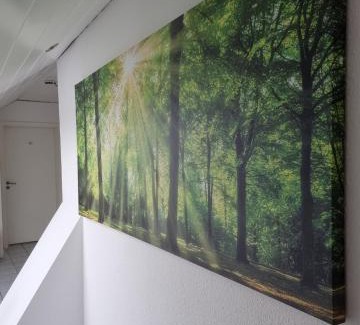 Center/Hamm-Bossendorf Apartment | FeWo Sundernblick