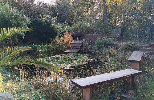 Wathlingen Apartment | FEWO Villa Farbenfroh Monteurzimmer Garten Wlan 3SZ 120qm